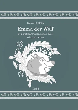 Klaus Jürgen Schlüter Emma der Wolf обложка книги