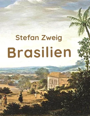 Stefan Zweig Brasilien обложка книги