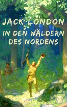 Jack London In den Wäldern des Nordens обложка книги