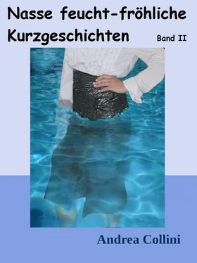 Andrea Collini Nasse feucht - fröhliche Kurzgeschichten - Band 2 обложка книги