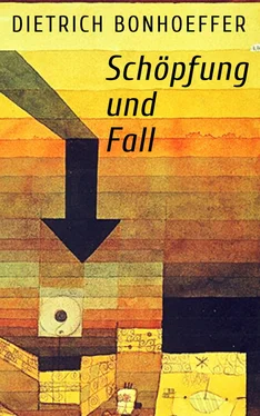 Dietrich Bonhoeffer Schöpfung und Fall обложка книги