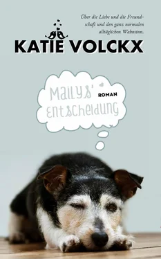 Katie Volckx Mailys' Entscheidung обложка книги