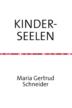 Maria G. Schneider Kinderseelen обложка книги
