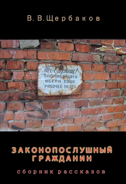 Владлен Щербаков Законопослушный гражданин (СИ) обложка книги