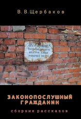 Владлен Щербаков - Законопослушный гражданин (СИ)