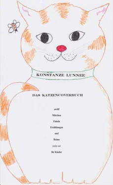 Konstanze Lunnee Das Katzencoverbuch обложка книги