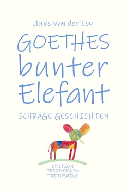 Jules van der Ley Goethes bunter Elefant обложка книги