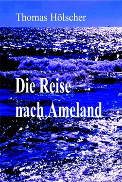 Thomas Hölscher Die Reise nach Ameland обложка книги