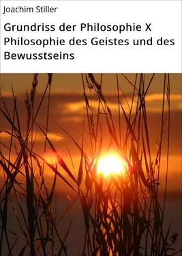 Joachim Stiller Grundriss der Philosophie X Philosophie des Geistes und des Bewusstseins обложка книги