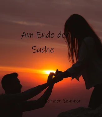 Carmen Sommer Am Ende der Suche обложка книги