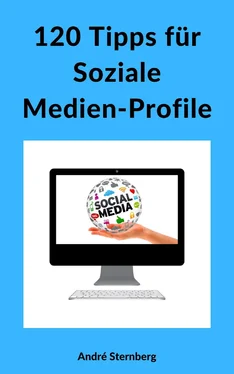 André Sternberg 120 Tipps für Soziale Medien-Profile обложка книги