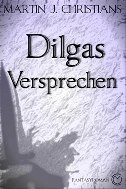 Martin J. Christians Dilgas Versprechen обложка книги
