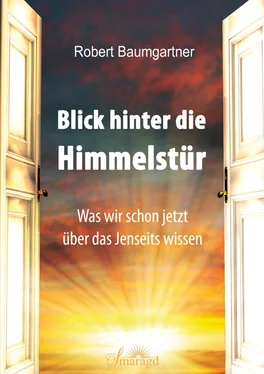 Robert Baumgartner Blick hinter die Himmelstür обложка книги