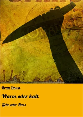 Bran Down Warm oder kalt обложка книги