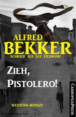 Alfred Bekker Zieh, Pistolero! (Western-Roman) обложка книги