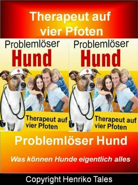 Henriko Tales Problemlöser Hund обложка книги