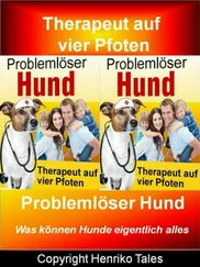 Henriko Tales - Problemlöser Hund