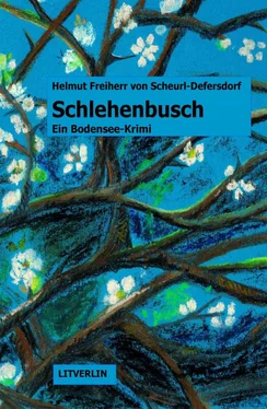 Helmut Freiherr von Scheurl-Defersdorf Schlehenbusch обложка книги