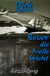 Dirk Harms - Bevor die Welle bricht