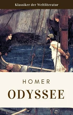 Homeros Homer Homer - Odyssee обложка книги