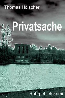 Thomas Hölscher Privatsache обложка книги