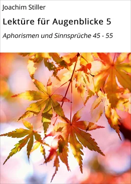 Joachim Stiller Lektüre für Augenblicke 5 обложка книги
