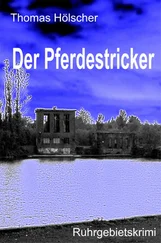 Thomas Hölscher - Der Pferdestricker