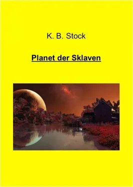 K. B. Stock Planet der Sklaven обложка книги
