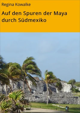 Regina Kowalke Auf den Spuren der Maya durch Südmexiko обложка книги