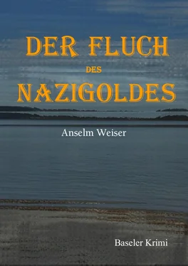 Anselm Weiser Der Fluch des Nazigoldes обложка книги