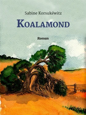 Sabine Korsukéwitz Koalamond обложка книги