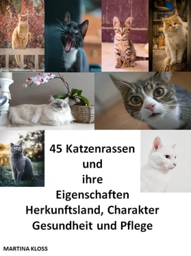 Martina Kloss 45 Katzenrassen und ihre Eigenschaften, Herkunftsland, Charakter, Gesundheit und Pflege обложка книги