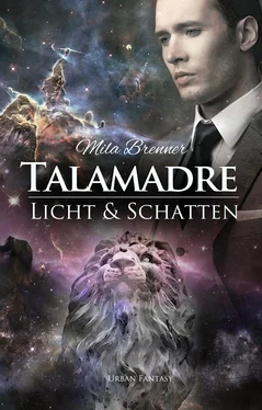 Mila Brenner Talamadre обложка книги