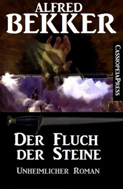 Alfred Bekker Der Fluch der Steine обложка книги