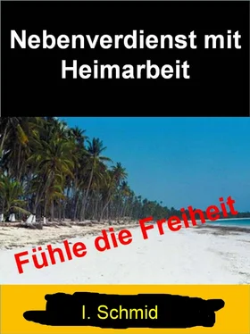 I. Schmid Nebenverdienst mit Heimarbeit обложка книги