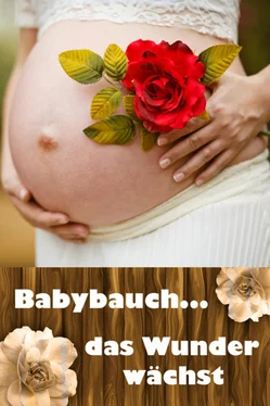 Laura Paulsen Babybauch...das Wunder wächst обложка книги