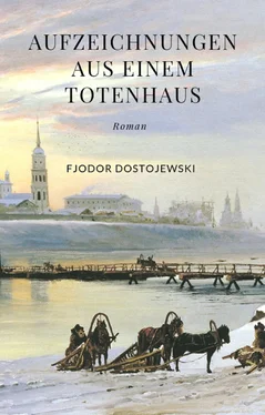 Fjodor Dostojewski Aufzeichnungen aus einem Totenhaus обложка книги
