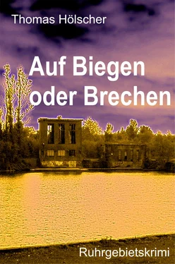 Thomas Hölscher Auf Biegen oder Brechen обложка книги