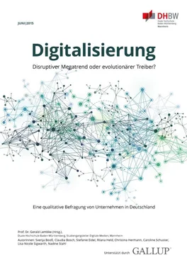 Gerald Lembke Digitalisierung im deutschen Mittelstand обложка книги