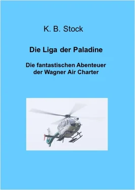 K.B. Stock Die Liga der Paladine обложка книги