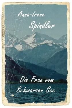 Anna-Irene Spindler Die Frau vom Schwarzen See обложка книги