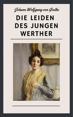 Johann Wolfgang von Goethe Die Leiden des jungen Werther обложка книги
