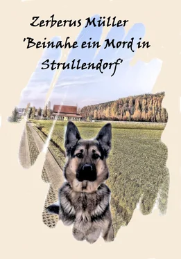 Bettina Bäumert Zerberus Müller 'Beinahe ein Mord in Strullendorf' обложка книги