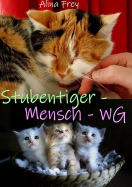 Alina Frey Stubentiger - Mensch - WG обложка книги