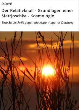 D.Dere Der Relativknall - Grundlagen einer Matrjoschka - Kosmologie обложка книги