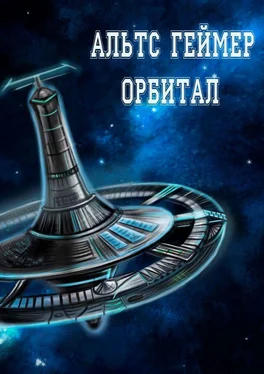 Альтс Геймер Орбитал (СИ) обложка книги