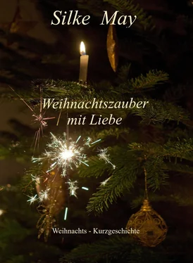 Silke May Weihnachtszauber mit Liebe обложка книги