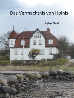 Peter Graf Das Vermächtnis von Holnis обложка книги