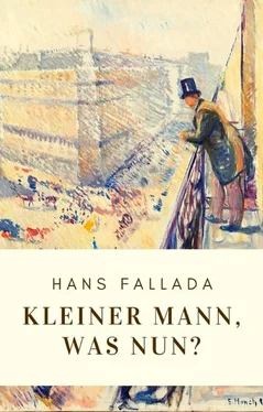 Hans Fallada Hans Fallada: Kleiner Mann, was nun? обложка книги