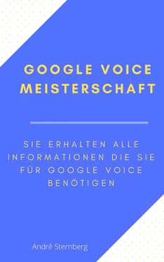 André Sternberg Google Voice Meisterschaft обложка книги